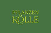 Pflanzen Kölle DE