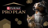 Purina DE