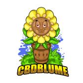 CBD Blume DE